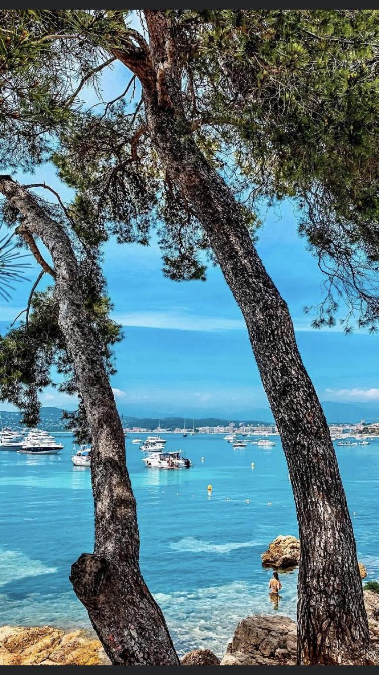 Beautiful Apartment Design Next To The Sea Antibes Exterior foto